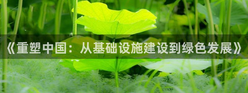 风暴娱乐老板